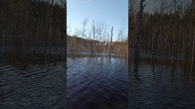 1000020673.mp4