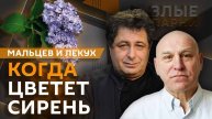 Злые парни.