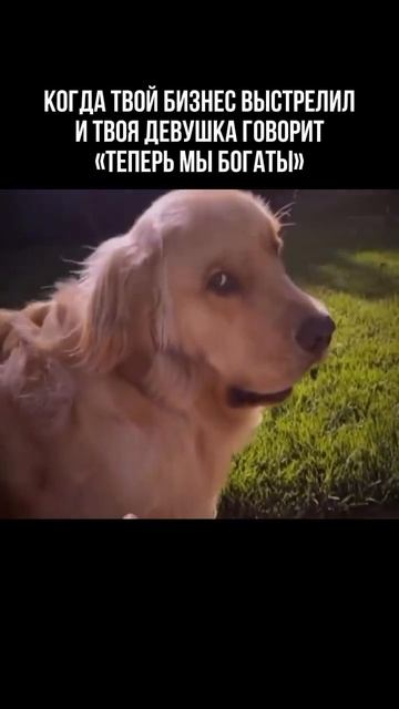 Нет,нетт 😃 #деньги #бизнес #успех #рекомендаций #женщи?