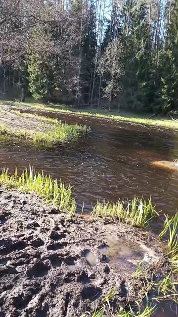 речка Гороховка