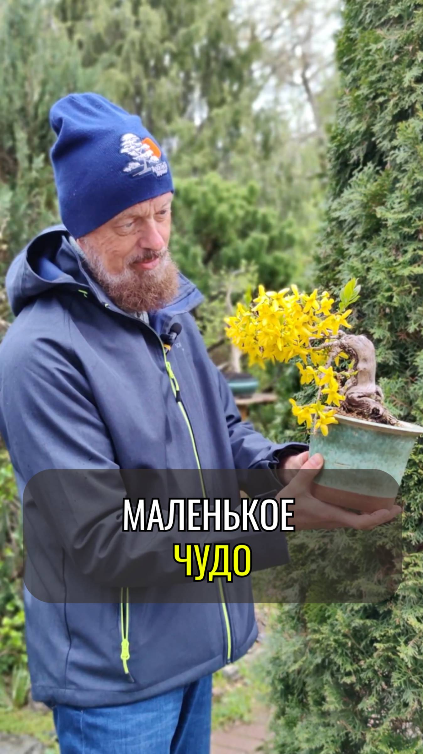 Маленькое чудо