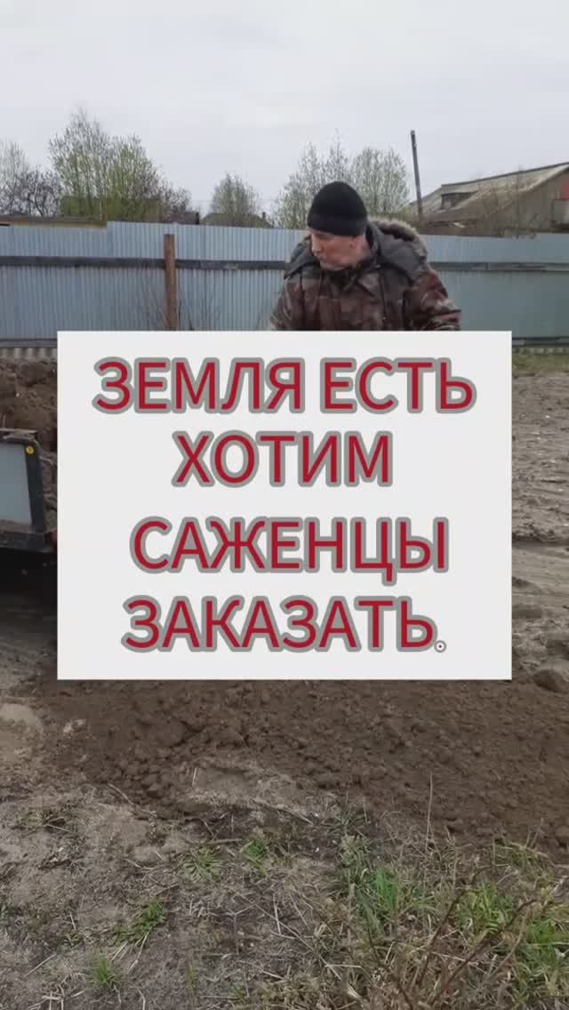 Земля есть. Хотим саженцы заказать.