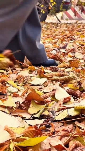 Ноябрь в Ростове-на-Дону #купитьквартиру #недвижимост?