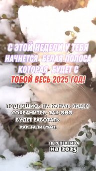 Когда знакам зодиака привалит много денег #знакизоди?