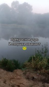 Лягухи