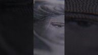 Интересные факты о деньгах. Что надо знать релокантам