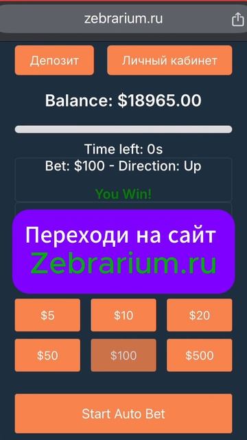 Регистрируйся сейчас на сайте Zebrarium и получи бонус до 1