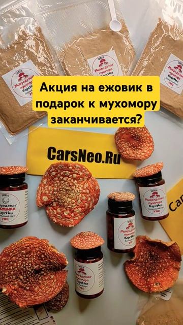 Акция на ежовик в подарок к мухомору заканчивается? #м?