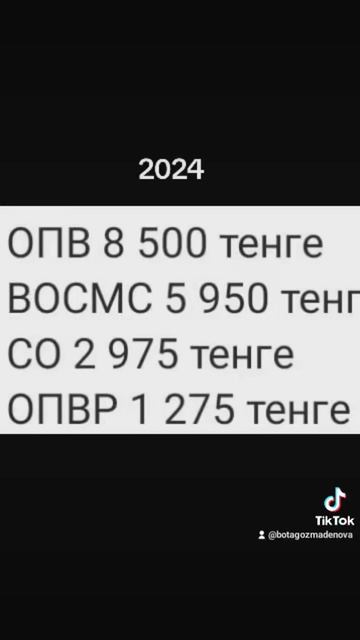 оплата налогов за ип 2024 год