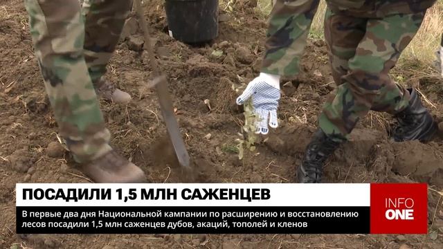 INFO ONE - ПОСАДИЛИ 1,5 МЛН САЖЕНЦЕВ ДУБОВ, АКАЦИЙ, ТОПОЛЕЙ И