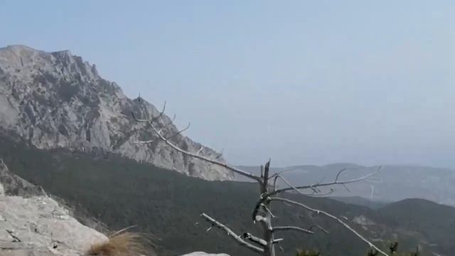 вид из горы Шаан-кая