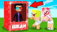 🧸Я ПРЕВРАТИЛСЯ В ИГРУШКУ И ШОКИРОВАЛ ДРУЗЕЙ В МАЙНКРАФТ