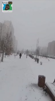 Аномальные холода, ливни и мокрый снег обрушатся на Москву с понедельника — синоптики.
