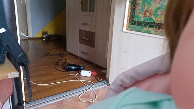 волн с реборном ева