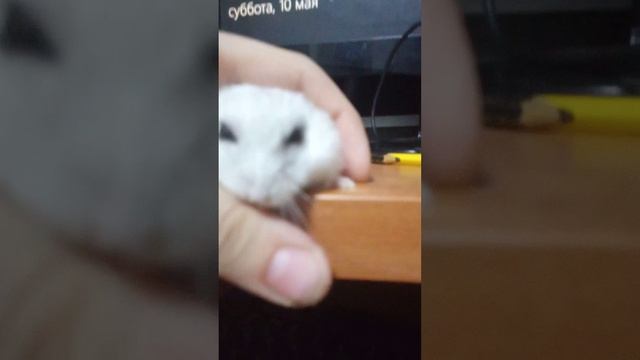 хочу сказать то что я зачем это всё снимаю