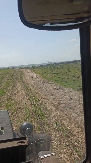 Поездка на тракторе