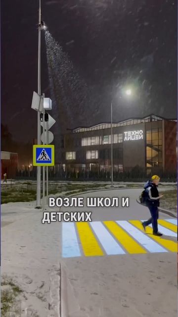 Россия первая в топе стран по количеству умных пешехо?