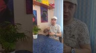 Оленина