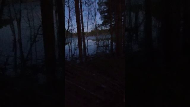 1000020681.mp4