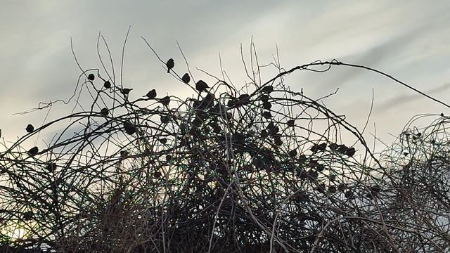 Живем в коммуналке. Или это общага?