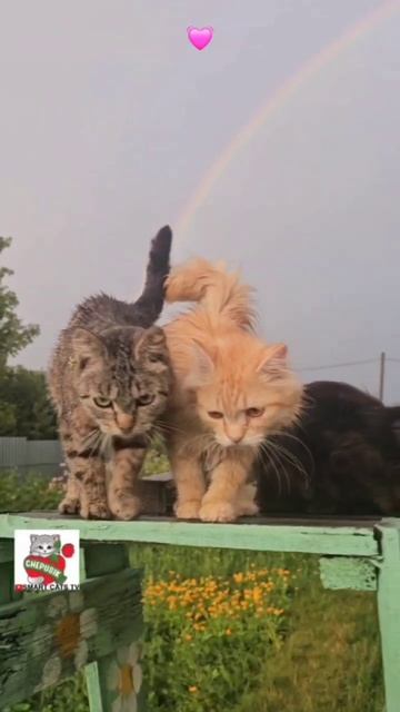 Входите тесными вратами 😇🌈💓🙏😻