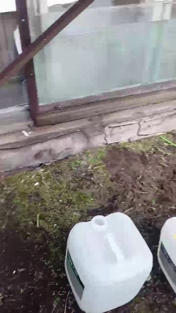 Теплица для помидор