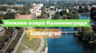 Нижнее озеро Калининграда: прогулка, набережная и городской ритм