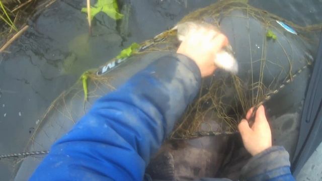 рыбалка на сети майские праздники