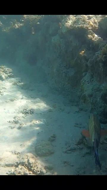 ПОЧЕМУ ЖЕ ЕГИПЕТ? Хургада февраль 2025.