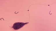 Хитрый монтаж для фидера и донки. Правильный флэт монтаж на карася, карпа и леща! 🐠🐋🐟