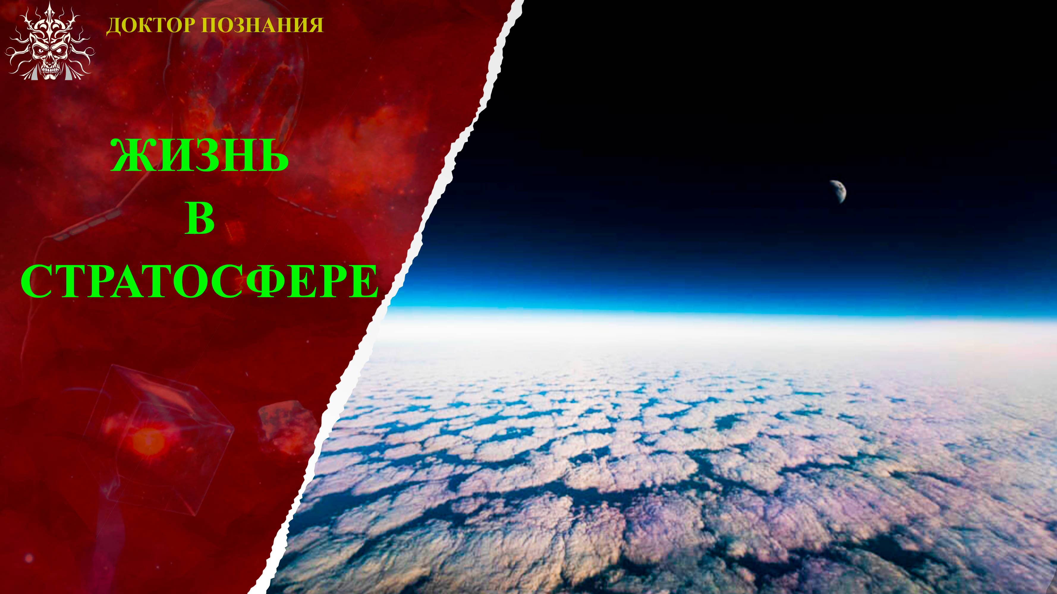 Есть ли жизнь в стратосфере?