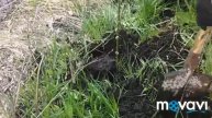 Вклад в будущее