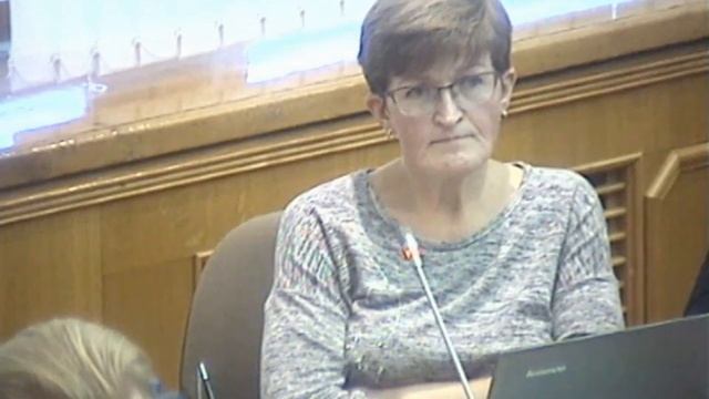 Вопрос Евгении Копничевой Татьяне Голыгиной