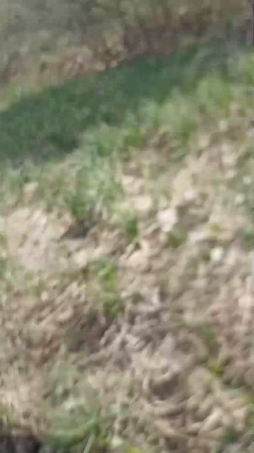 Природный ручей с чистой водой