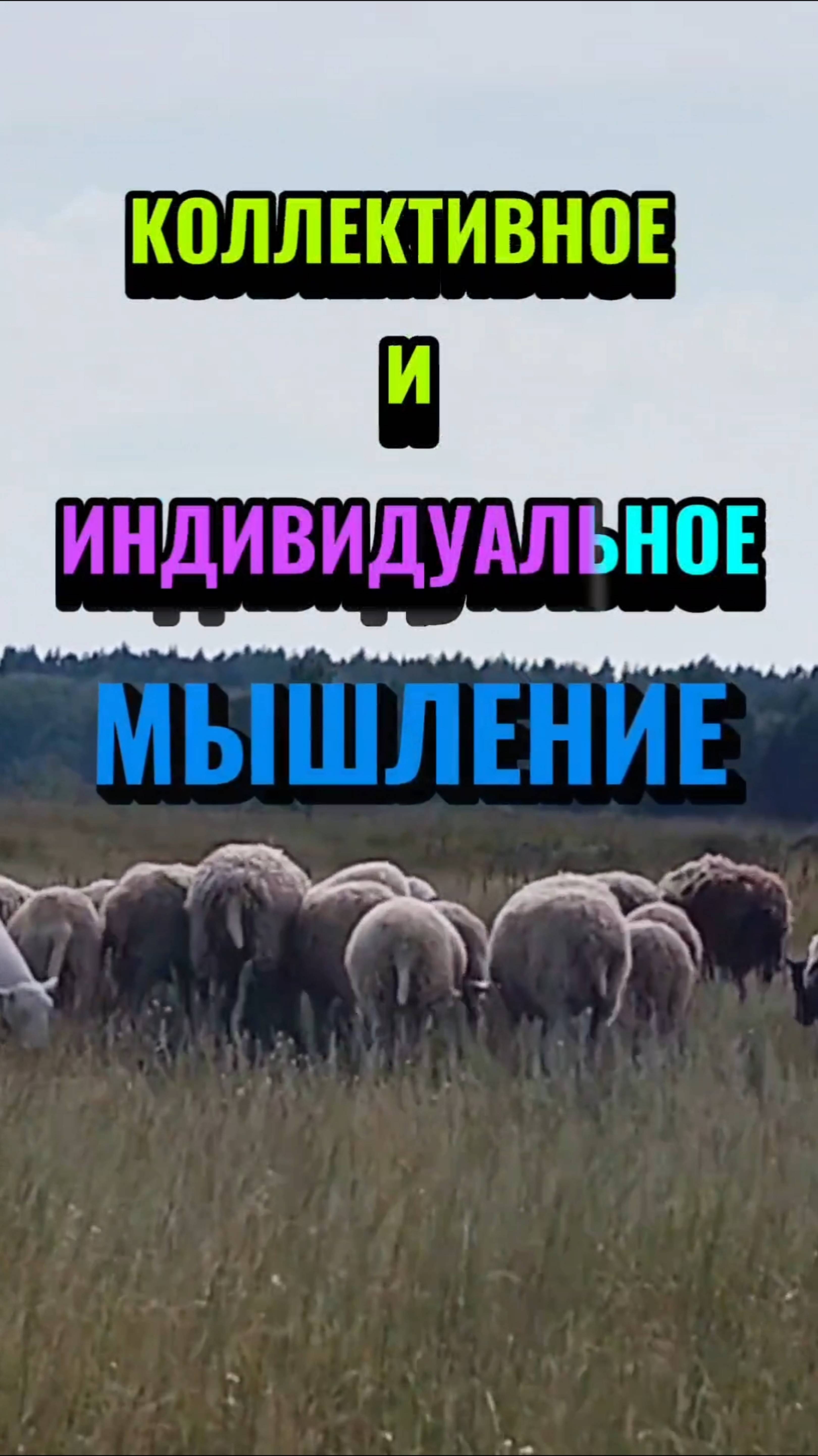 КОЛЛЕКТИВНОЕ и ИНДИВИДУАЛЬНОЕ МЫШЛЕНИЕ