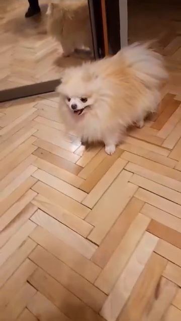 1000101208.mp4