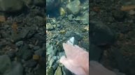 Находки под водой
