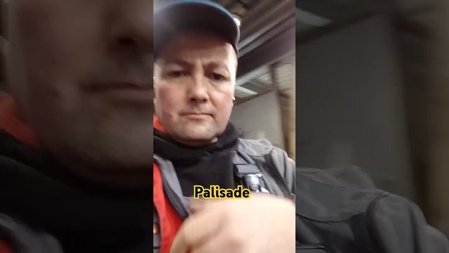 Palisade привоз из Корея оригинал бу дитали