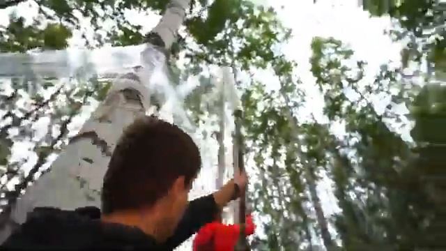 построили прозрачный дом на дереве