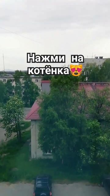 #подпишись #вася #1000 #100 #305 #50 #лайк #актив #активвернись