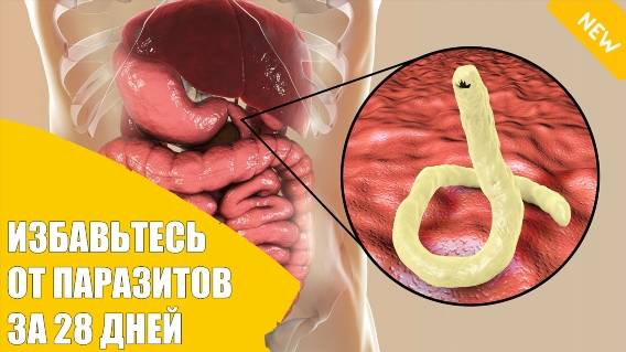 🎯 Тибетский сбор трав для очищения 🎯 Тригельм от паразитов купить в аптеке цена ⚡