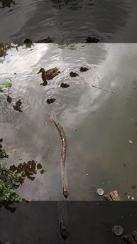 С мамой так тепло и уютно...