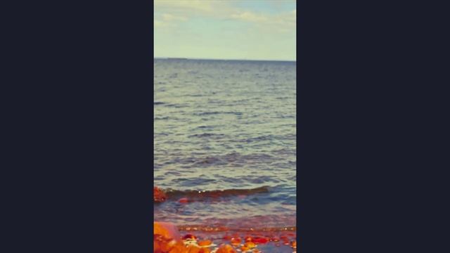 Побережье форта Красная горка