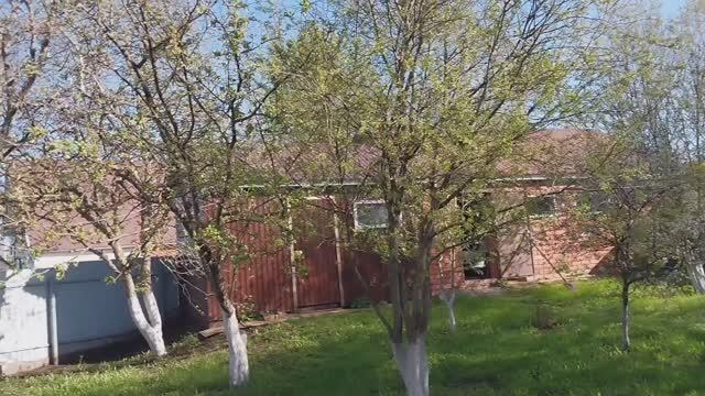 Жизнь в Деревне. Дачные заботы