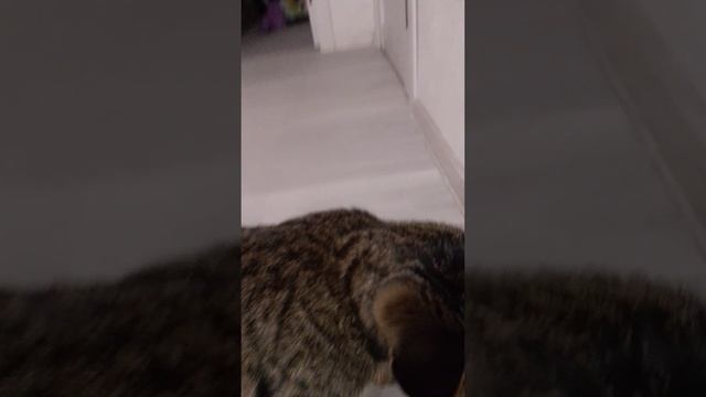 1000001319.mp4
