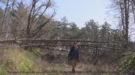 Ты НЕ СМОЖЕШЬ забыть это видео! - Cant Be Helped -- NADINE -- Live at WFMU for Sophisticated Boom Bo