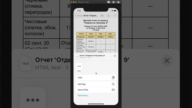 Заметка 6 Фильтр бюджета в отчете
