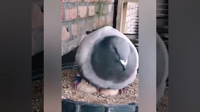 жизнь как есть