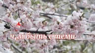 Цитаты о любви красивые слова о прекрасном чувстве