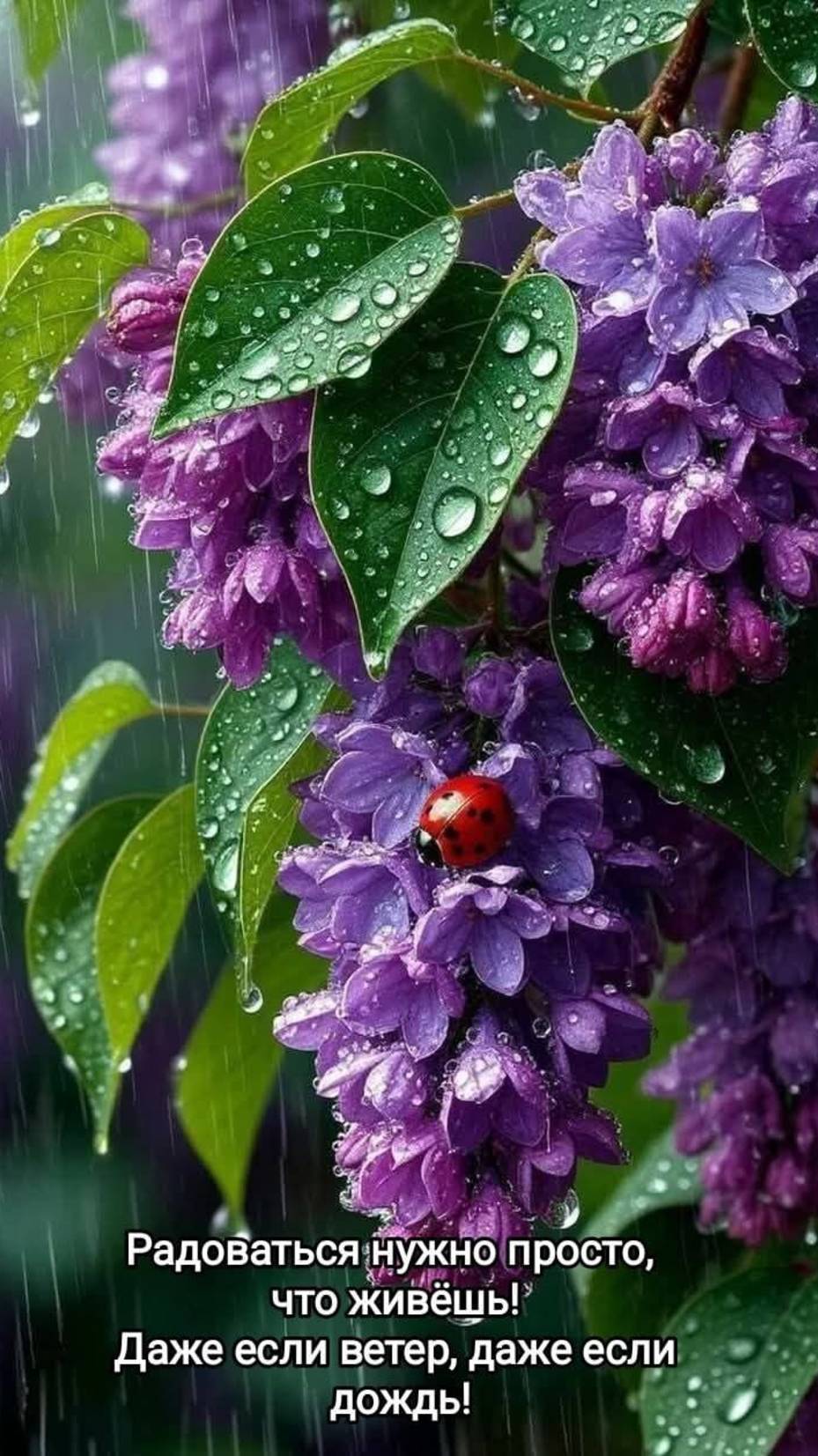 Ваш новый день!💐